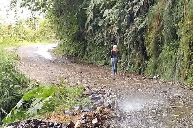 private-tour-to-the-yungas-coroico-the-death-route-from-la-paz