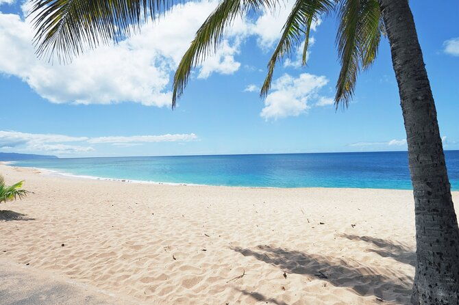 private-tour-ultimate-north-shore-experience