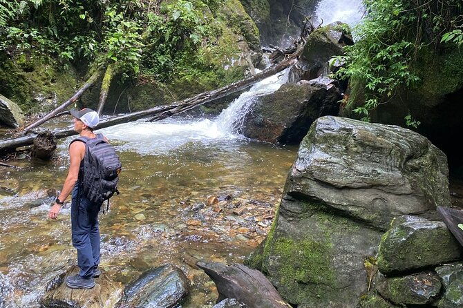 private-tour-with-guide-in-salento-and-cocora-valley-with-lunch