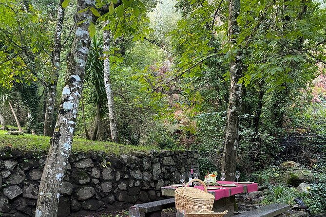 private-typical-portuguese-picnic-in-serra-de-monchique