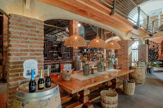 private-visit-valparaiso-vina-del-mar-winery-from-santiago
