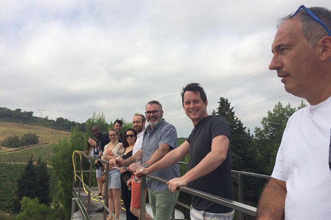 private-wine-day-tour-from-carcassonne-and-around