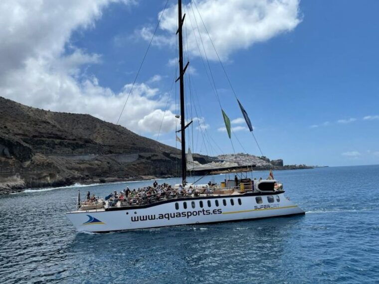 puerto-rico-2-hour-dolphin-catamaran-excursion