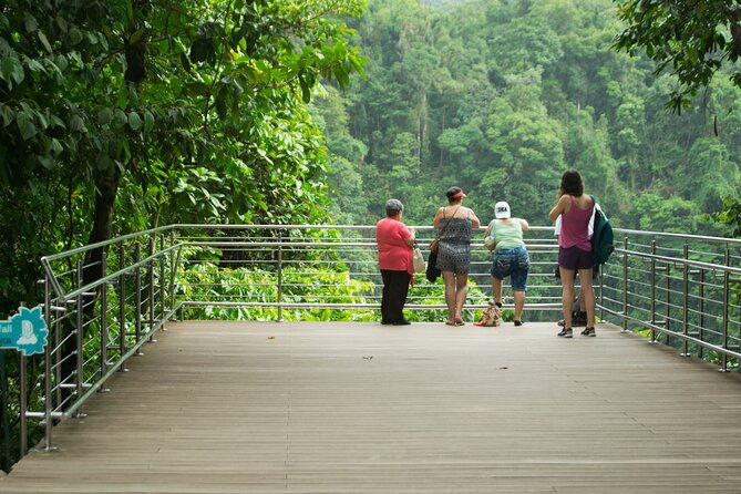 rainforest-chocolat-la-fortuna-waterfall-adventure