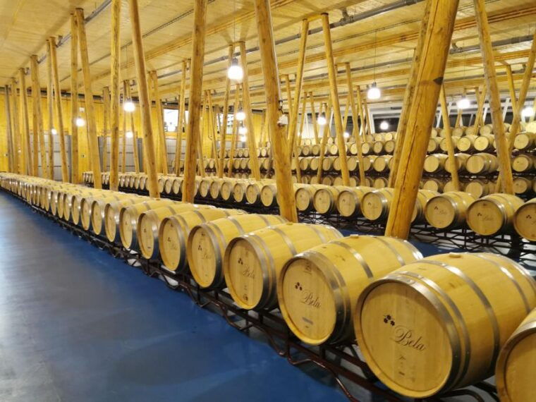 ribera-del-duero-wine-region-private-tour