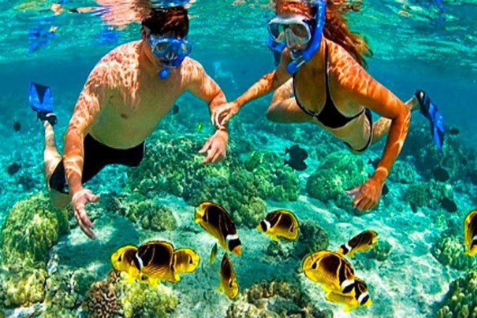 roatan-buggy-adventure-snorkeling-beach-pass-plus-private-transfer