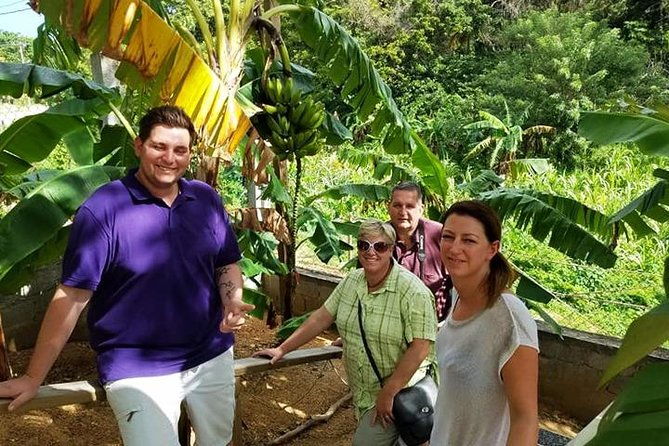 roatan-fun-bus-group-sightseeing-island-private-tour