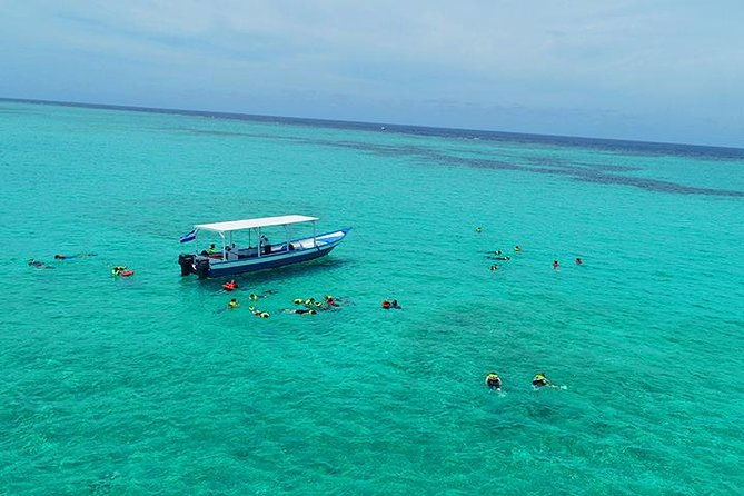 roatan-north-side-mangroves-starfish-shipwreck-snorkeling-transportation