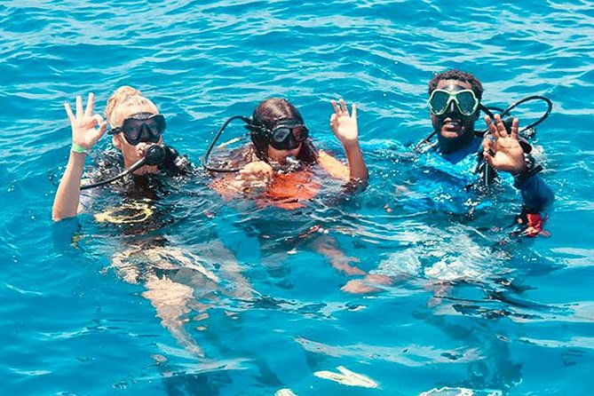 roatan-reactive-refresher-dive-course