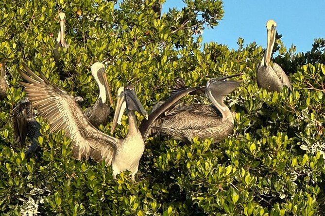 robinson-preserve-nature-walk-eco-tour