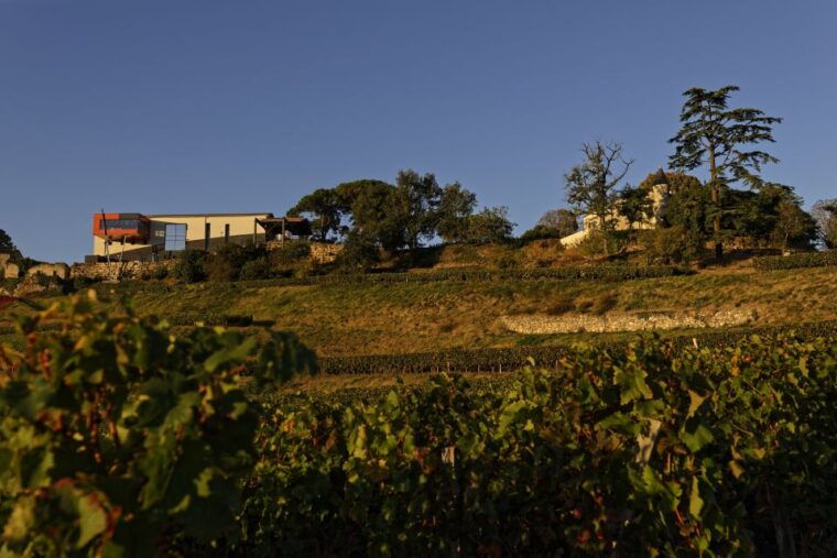 saint-emilion-grand-cru-classe-winery-visit-and-tasting