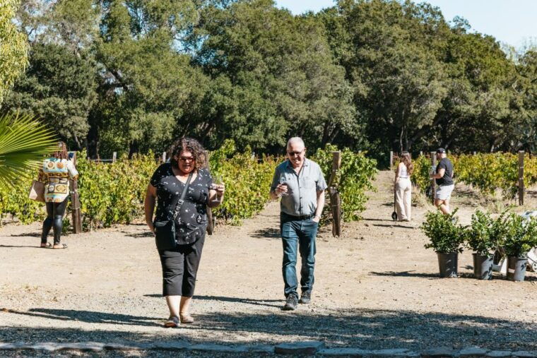 san-francisco-half-day-wine-country-excursion-with-tastings