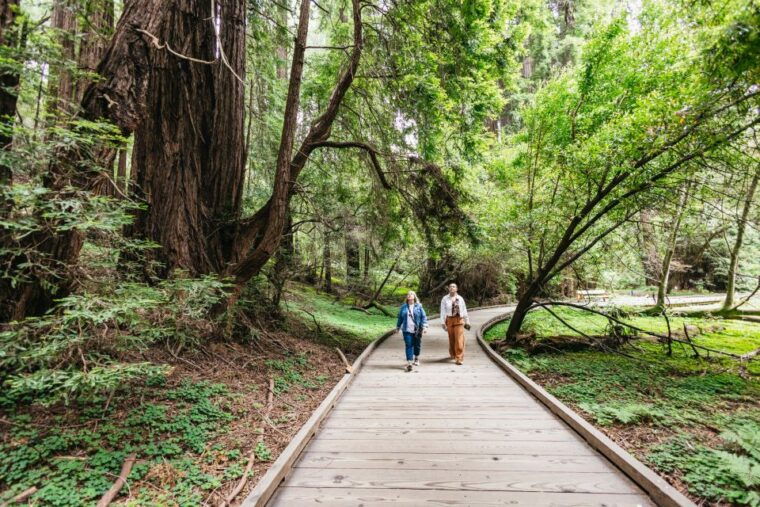 san-francisco-muir-woods-napa-sonoma-valley-wine-tour