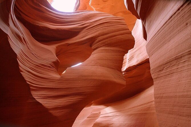 san-francisco-to-yellowstone-and-las-vegas-7-day-tour