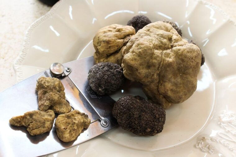 san-gimignano-truffle-hunting-with-lunch-wine-tasting