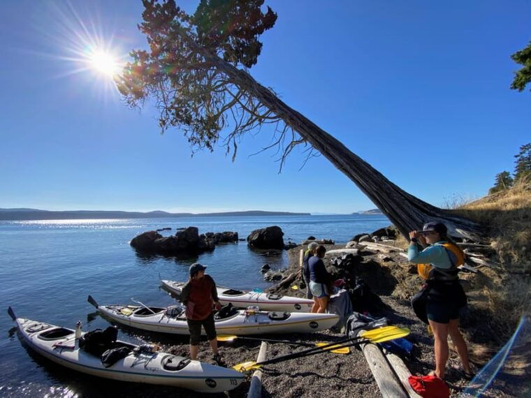 san-juan-island-full-day-kayaking-tour-with-lunch