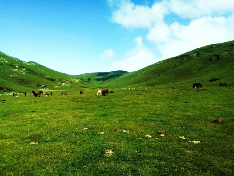 san-sebastian-hike-the-heart-of-the-basque-country