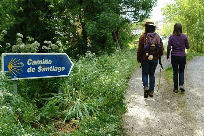santiago-de-compostela-private-shore-tour-camino