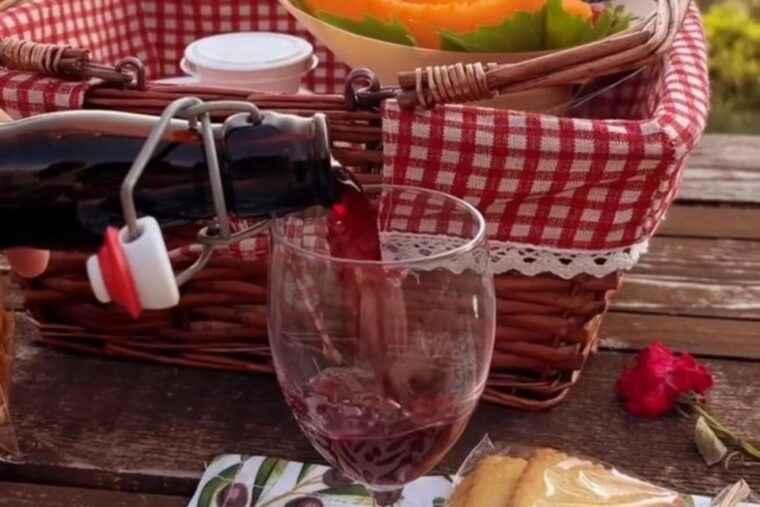 sardinian-olive-oil-tasting-picnic-among-the-olive-trees