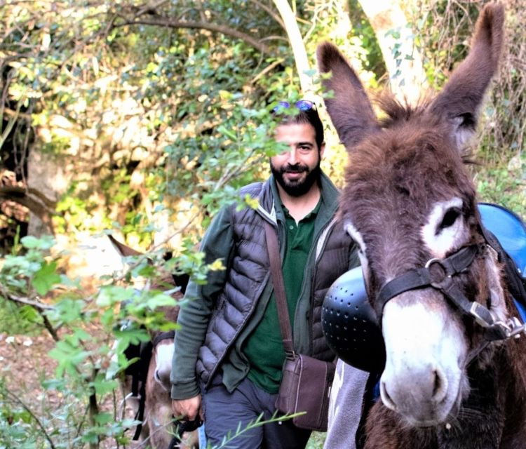sassari-hiking-with-donkeys-in-cargeghe-and-aperitif