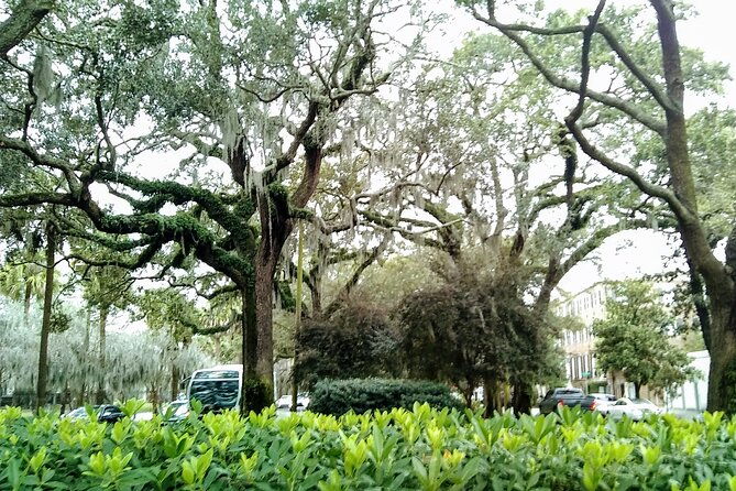 savannah-irish-history-walking-tour