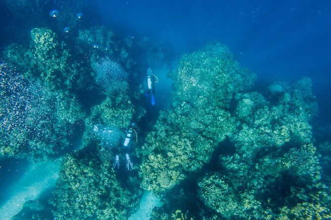 scuba-dive-in-the-west-end-of-roatan-with-private-transfer