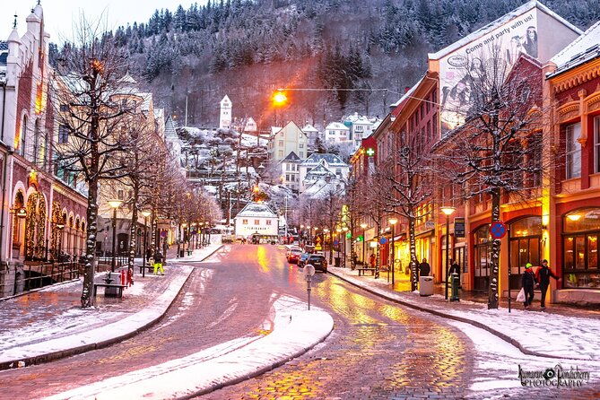 self-guided-day-tour-from-bergen-to-flam-all-inclusive-roundtrip