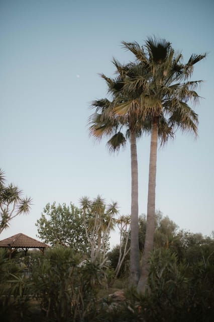 selfness-week-at-the-holistic-life-center