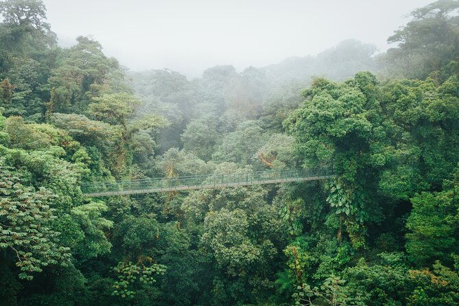 selvatura-hanging-bridges-admission-ticket