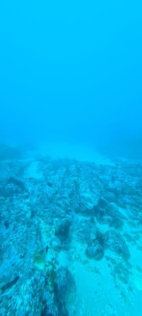 sesimbra-first-scuba-diving-experience-in-the-ocean