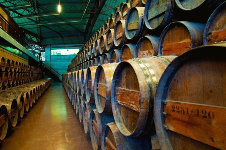 setubal-arrabida-full-day-of-wine-nature-scenic-wonders