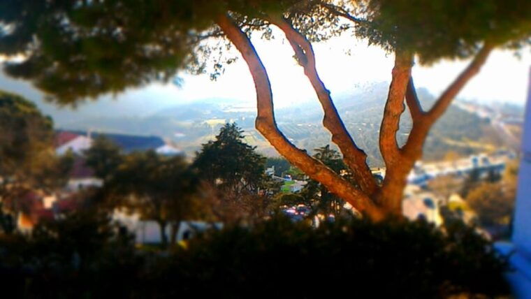setubal-romantic-picnic-sunset-wine-experience