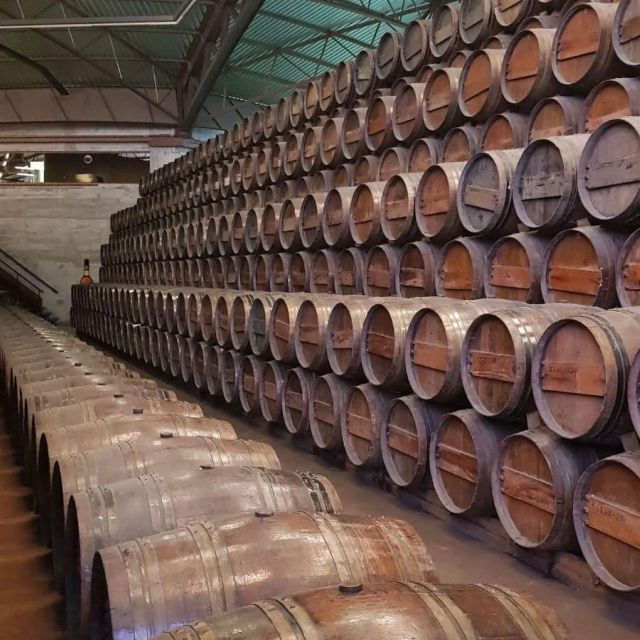 setubal-wine-tour-discover-the-moscatel-wine