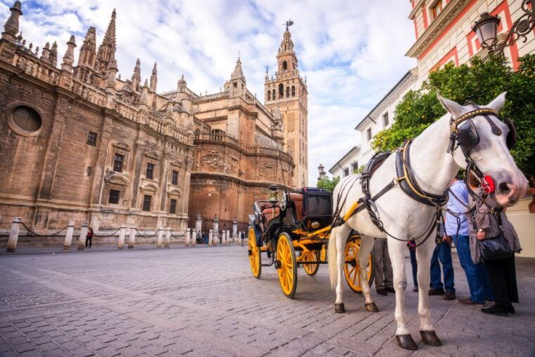 seville-authentic-and-romantic-horse-drawn-carriage-ride