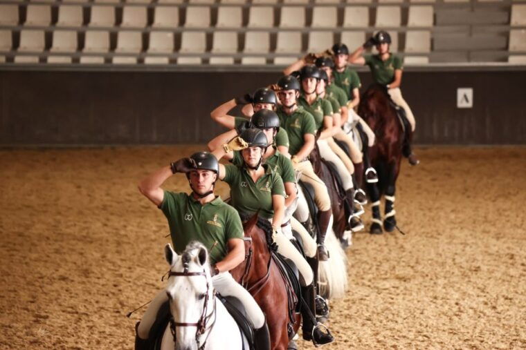 seville-horses-show-entry-ticket-optional-stud-farm-visit