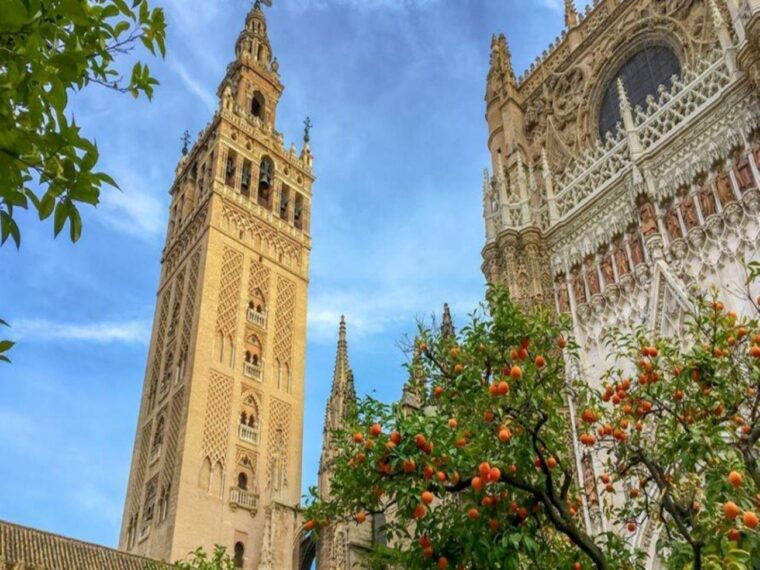 seville-private-tour-cathedral-alcazar-santa-cruz