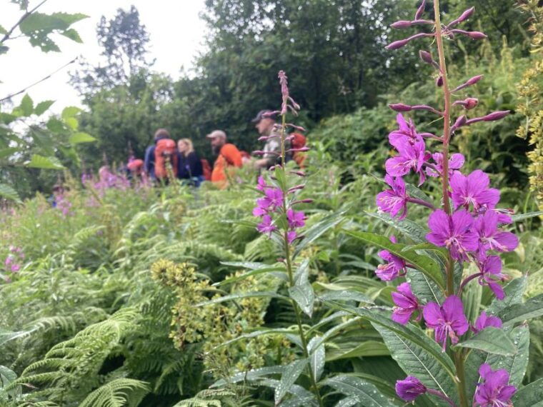 seward-guided-wilderness-hike-with-transfer