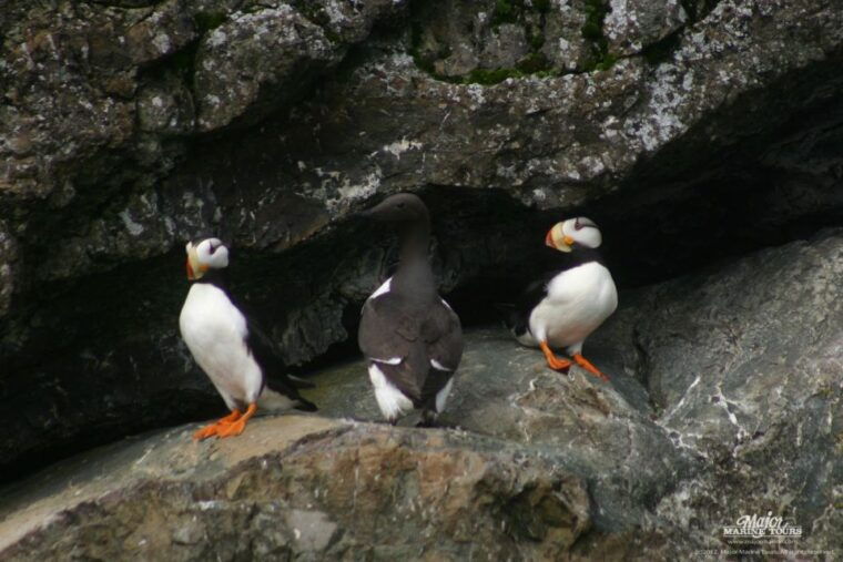 seward-kenai-fjords-national-park-extended-cruise
