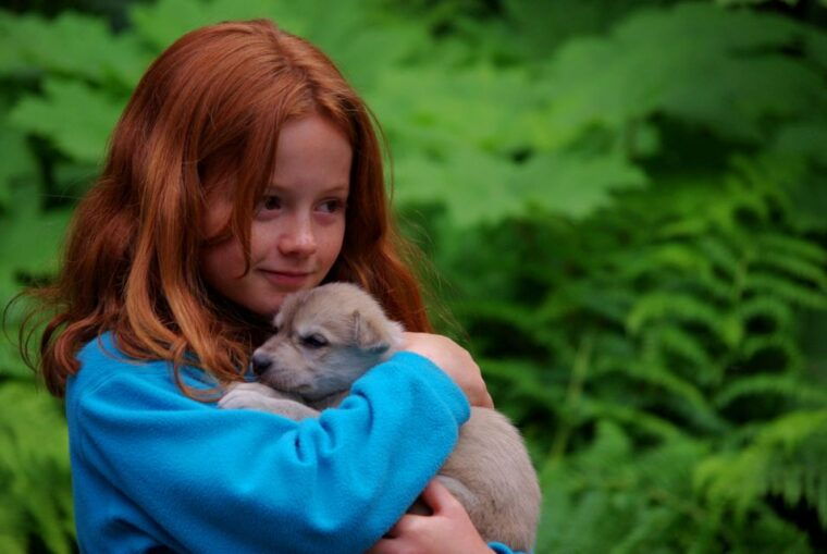 seward-summer-dog-sled-ride-and-seavey-estate-tour