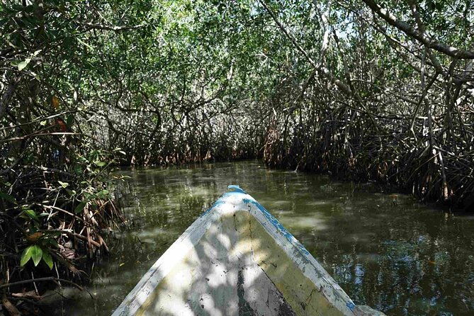 shared-cartagena-mud-volcano-mangrove-tour-including-lunch
