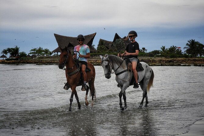 shore-mangrove-tour-lunch-horse-riding-fishing-classes