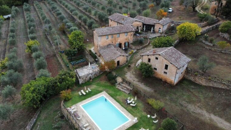 siena-evo-oil-experience-with-walk-tasting-and-lunch