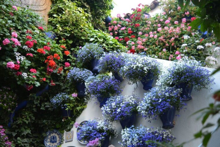 sights-sounds-and-scents-of-cordobas-patios