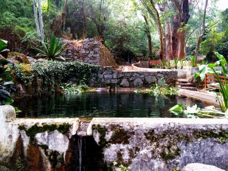 silves-caldas-and-monchique-wine-tasting-full-day-tour
