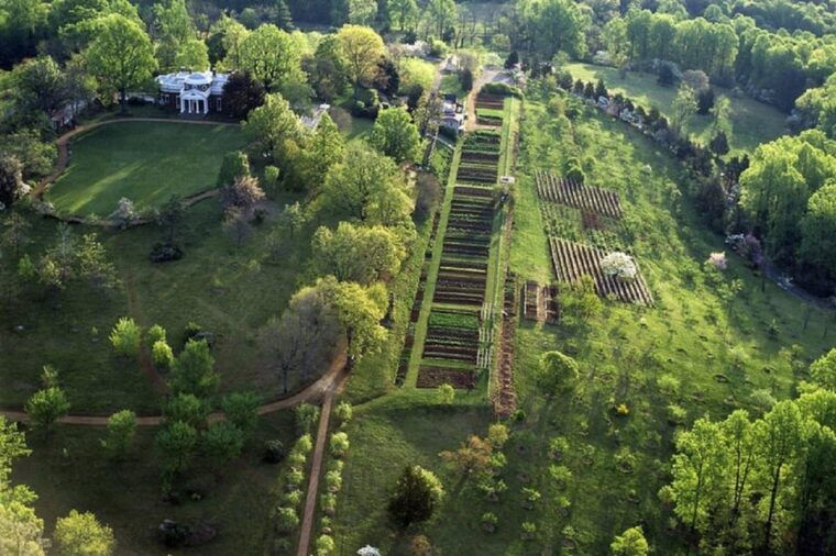 small-group-1-day-tour-dc-to-thomas-jeffersons-monticello