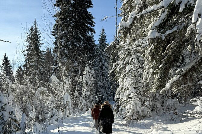 snowshoe-day-tour-in-glacier-national-park