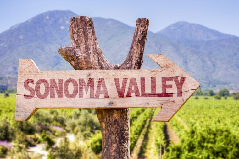 sonoma-valley-guided-winery-tour-with-picnic-lunch