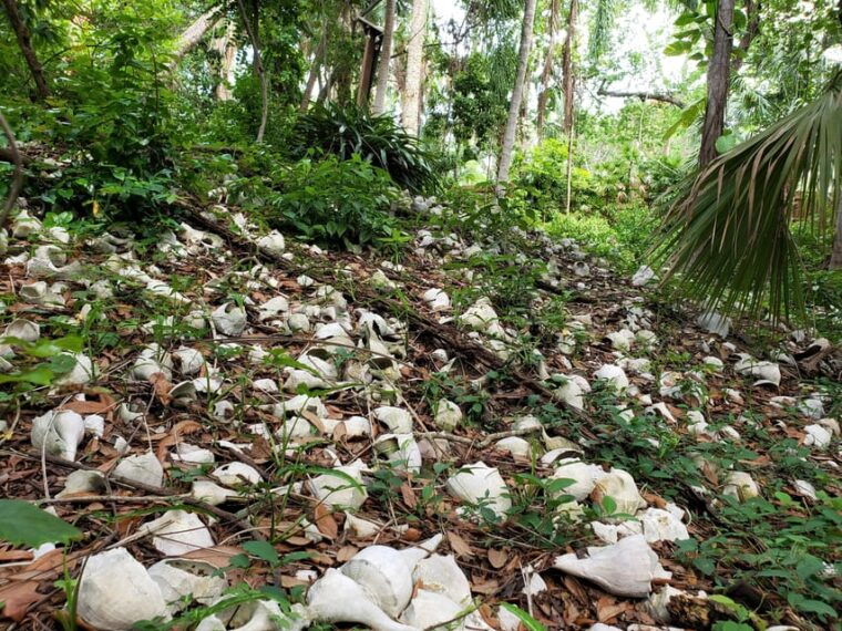st-petersburg-jungle-prada-site-history-tour-2