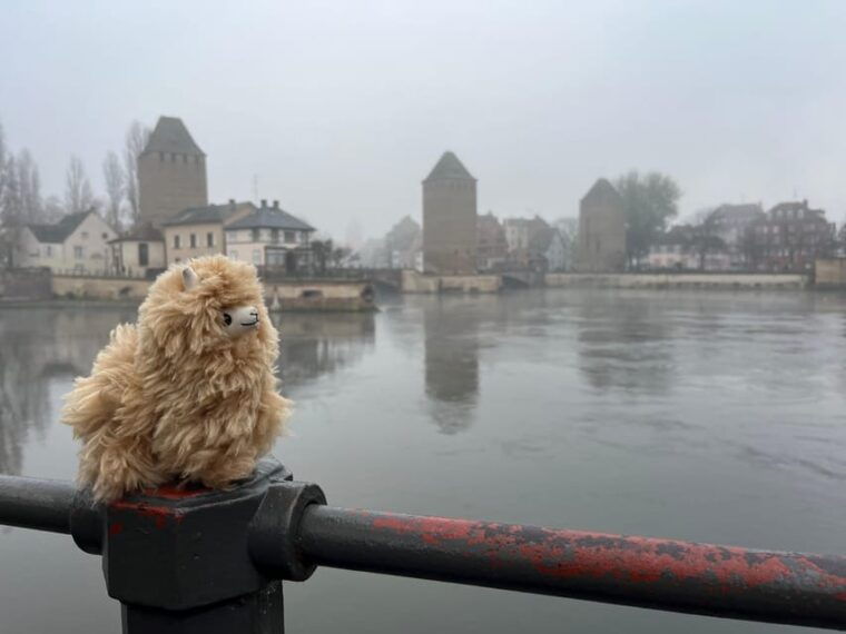 strasbourg-christmas-walking-tour-with-mulled-wine