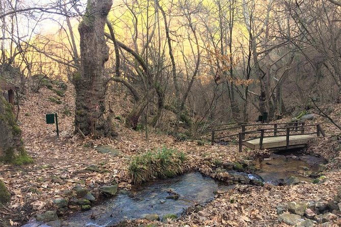 strumica-monasteries-and-waterfalls-tour-from-skopje